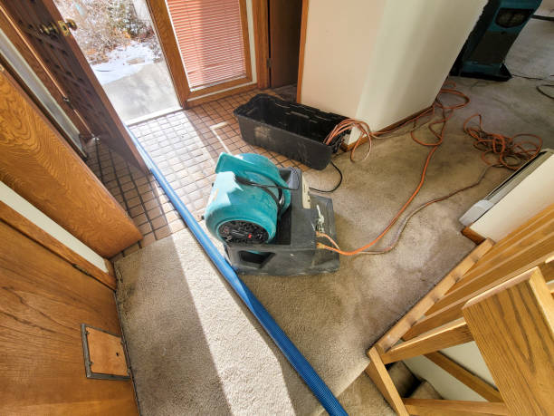 Best 24-hour water damage restoration  in Clisle, AR