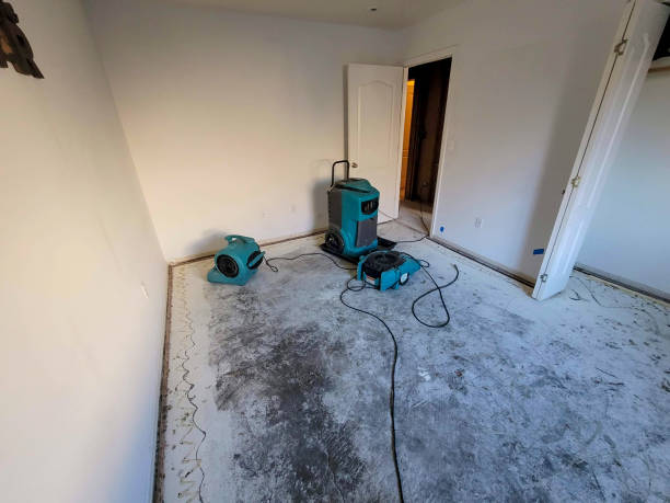 Best Fire Damage Restoration  in Clisle, AR