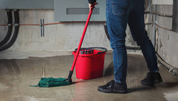 Best Flood damage cleanup  in Clisle, AR
