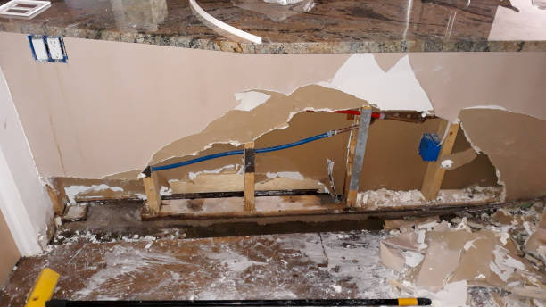 Best Flooded house restoration  in Clisle, AR