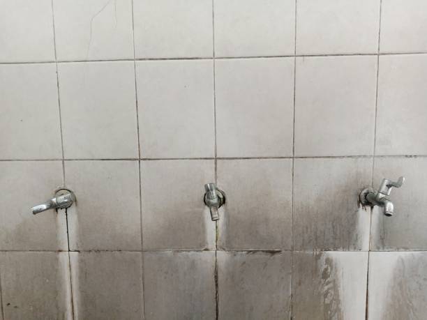Best 24/7 water damage repair  in Clisle, AR