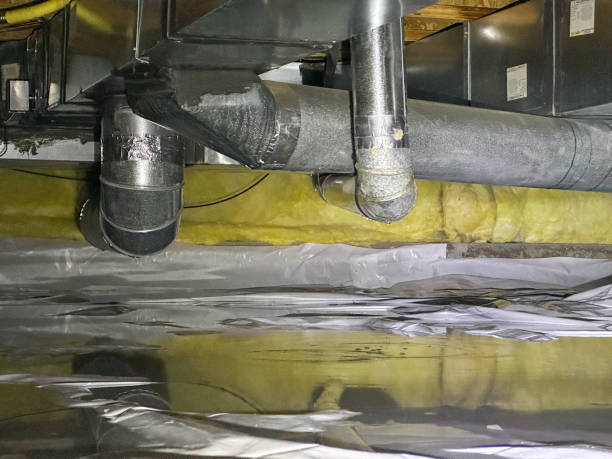 Best Water damage restoration cost  in Clisle, AR