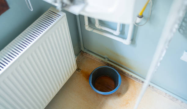 Best Local water damage restoration  in Clisle, AR