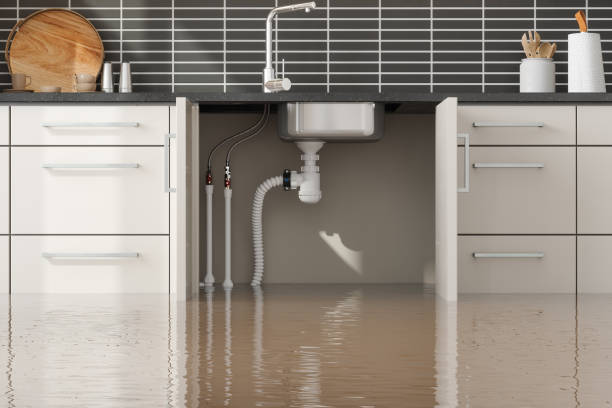 Best Ceiling water damage repair  in Clisle, AR