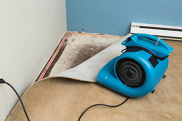 Best Water damage repair service  in Clisle, AR